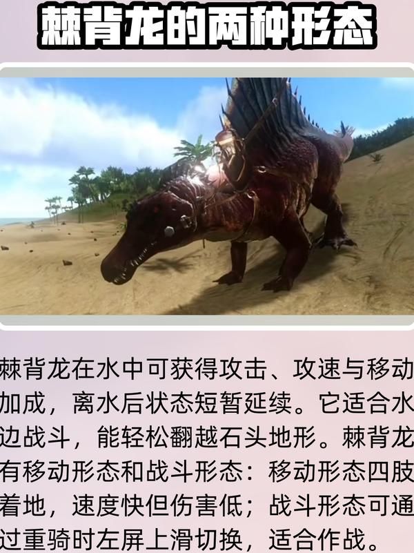 方舟驯服的龙找不到怎么办